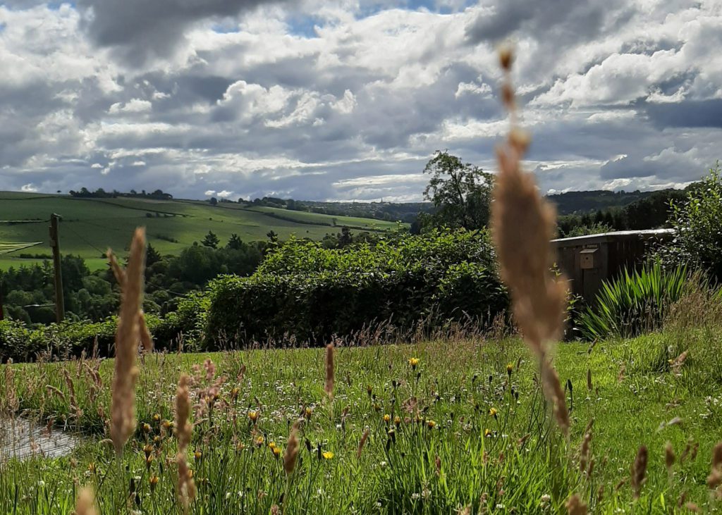 view of landscape in clyde valley with wildlife meadow and orchard