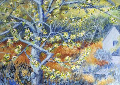large original mixed media painting of an apple tree in blossom onon wooden panel