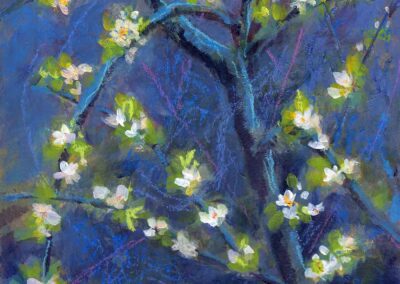 Painting of spring blossoms on young apple tree scottish orchard
