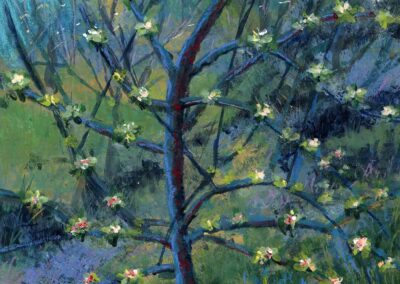 Painting of spring blossoms of scottish orchard