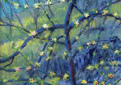 Painting of spring plum blossoms of scottish orchard