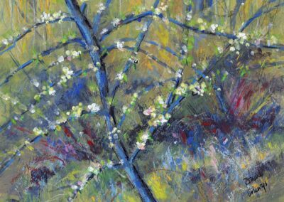 Painting of spring blossoms of scottish orchard