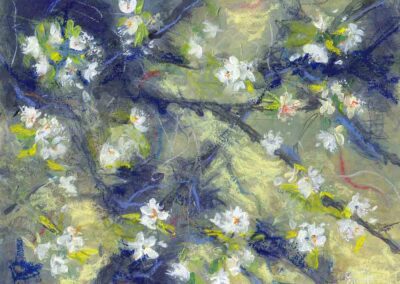 Painting of spring plum blossoms of scottish orchard