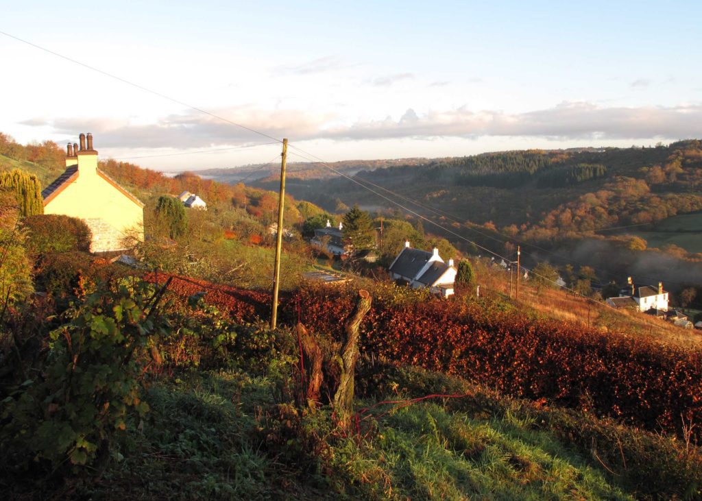 Scottish cottage and Clyde Valley
